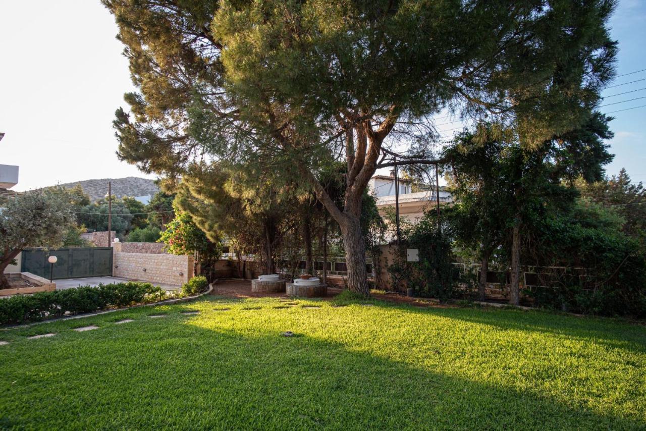 Sounio Panoramic Loft Appartement Kaap Soenion Buitenkant foto
